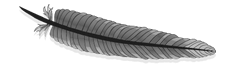 APACHE Webhosting